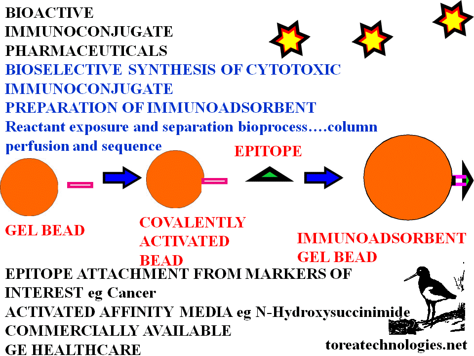 DIAGRAM OF BIOACTIVE ANTIBODY PREPARATION BIOPROCESS OF SOLID PHASE MEDIA IMMUNOADSORBENT WITH ANTIGEN COUPLING AND CHEMISTRY. ATTACHMENT TO AGAROSE/ACRYLAMIDE BEADS  ACTIVATED WITH ESTERS OR ANHYDRIDES OBTAINED COMMERCIALLY(EUPERGIT C OXIRANE,N-HYDROXYSUCCINIMIDE NHS SEPHAROSE. COUPLING OF ANTIGEN TO MEDIA IS ROUTINE RELIABLE BIOCHEMICAL PROCEDURE USED IN PROTEIN PURIFICATION.