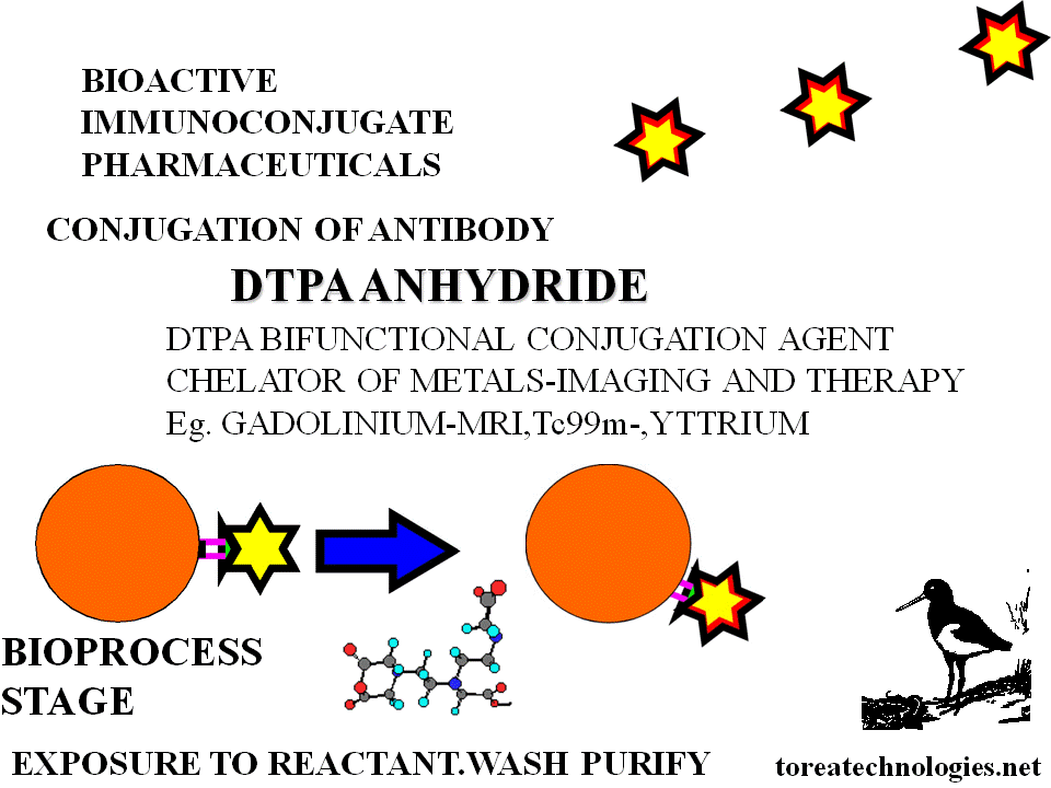 BIOACTIVE DTPA IMMUNOCONJUGATES HAVE CHELATING PROPERTIES FOR RADIOLABELING IMAGING  CLINICS. GADOLINIUM IS A PARAMGNETIC AGENT USED WITH MRI IMAGING AND IS SEQUESTED BY CHELATING AGENTS SUCH AS DTPA, EVOLVED MACROCYCLES. GADOPENTATE MARKETED AS MAGNEVIST  AS A VASCULARITY AGENT EXTENSIVELY IN MAGNETIC RESONANCE IMAGING CLINICS  BY OMNISCAN,PROHANCE,OPTIMARK AND MULTIHANCE. YTTRIUM 90 CHELATION IS IN FOR RADIOTHERAPY  WITH THE PRODUCT ZEVALIN AND IS ABLE TO BE ENHANCED IN IT'S PROPERTIES WITH BIOACTIVE CONJUGATION METHODOLOGY. 