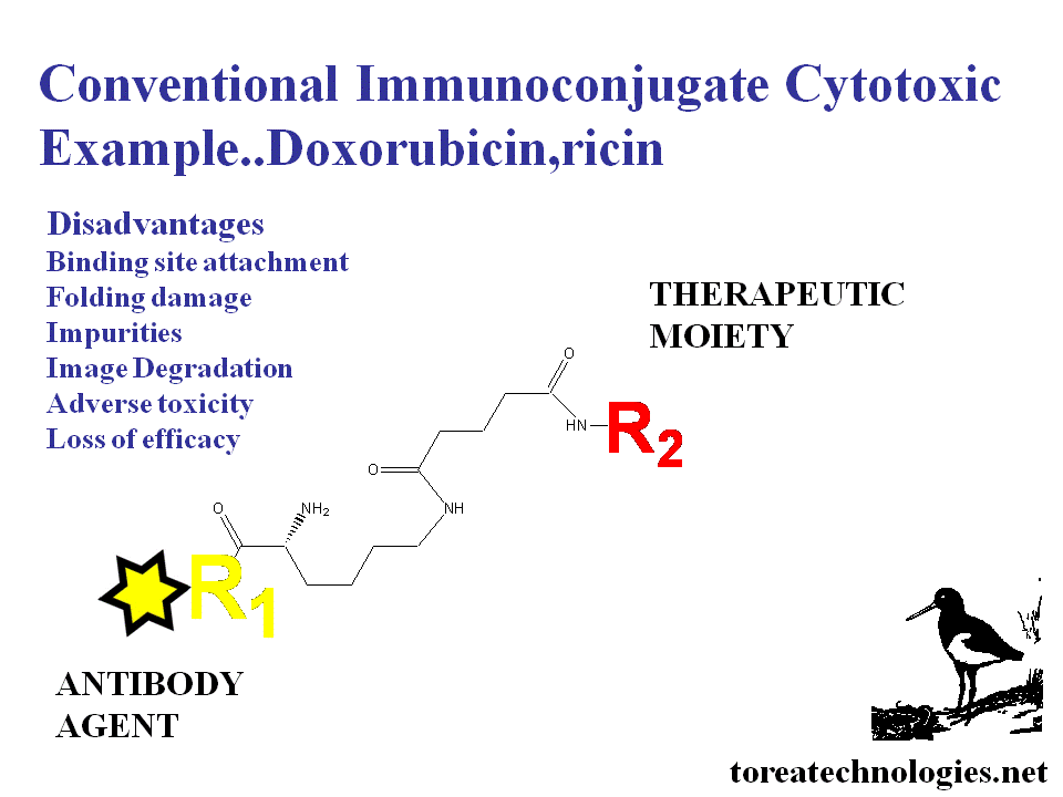 CONVENTIONAL ANTIBODY CONJUGATES  EG BEXXAR AND ZEVALIN SUFFER FROM THE LOW IMMUNOREACTIVE FRACTION LOCALISING AND THE HIGH BACKGROUND LEADING TO COMPROMISED IMAGE RESOLUTION NEEDED FOR EARLY CANCER DETECTION. IN THERAPY THIS CAN MEAN INEFFECTIVE TREATMENT AND ADVERSE TOXICITY. IMPROVEMENTS IN EFFICACY CAN BE ACHIEVED WITH THESE AGENTS  WITH BIOACTIVE LABELING TECHNOLOGY AND BIOPROCESS.