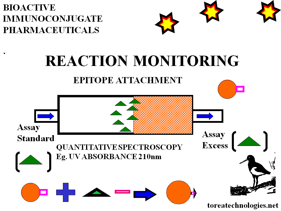 REACTION MONITORING OF ANTIGEN EPITOPE ATTACHMENT TO SOLID PHASE MEDIA FOR BIOPILOT BIOPROCESS IN PRODUCTION OF BIOACTIVE ANTIBODY CONJUGATES. UV SPECTROSCOPY IS ABLE TO QUANTITATIVELY DETERMINE CONCENTRATION LINKED TO ACTIVATED SEPHAROSE COLUMN AND UNDER AUTOMATED COMPUTER CONTROL AND ARCHIVE. EPITOPES ARE AVAILABLE FROM SOURCES IN BIOTECHNOLOGY AND SPECIALIZED CHEMISTRY SYSTEMS SUCH AS PEPTIDE SYNTHESIS. 
