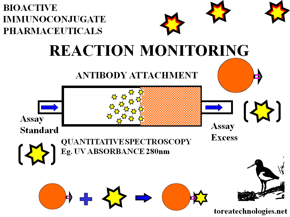 REACTION MONITORING OF ANTIBODY OR FRAGMENT ATTACHMENT TO SOLID PHASE MEDIA FOR BIOPILOT BIOPROCESS IN PRODUCTION OF BIOACTIVE IMMUNOCONJUGATES. ANALYSIS OF INLET AND EXHAUST CONCENTRATION IS ACHIEVED WITH ULRA VIOLET ABSORBANCE AT 280NM. GELIFESCIENCES SUPPLIES HIGH GRADE MEDIA AND CONTROL SYSTEMS FOR THE BIOPROESS. ANTIBODIES AND FRAGMENTS ARE AVAILABLE FROM BIOTECHNOLOGY WITH RECOMBINANT CULTURE AND FERMENTATION TECHNOLOGY.