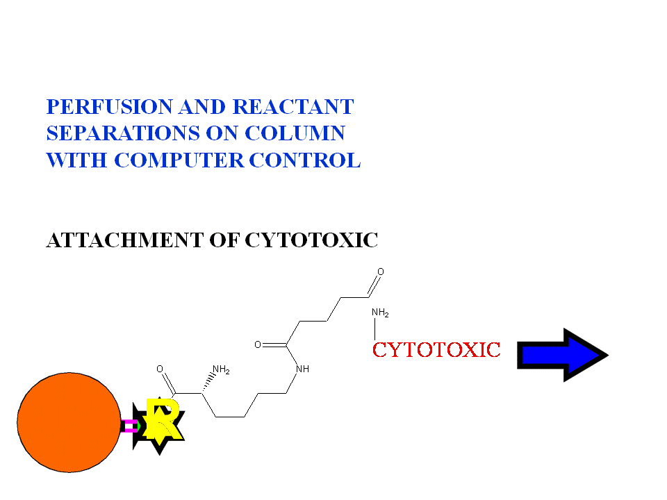 TOREA BIOACTIVE ANTIBODY SYNTHESIS. INTRODUCTION OF THE CYTOTOXIC IN A SUBSEQUENT PERFUSION STEP WITH CLEAN IN PLACE WASHES WITH PHOSPATE BUFFERED SALINE AND 1% ALBUMIN.