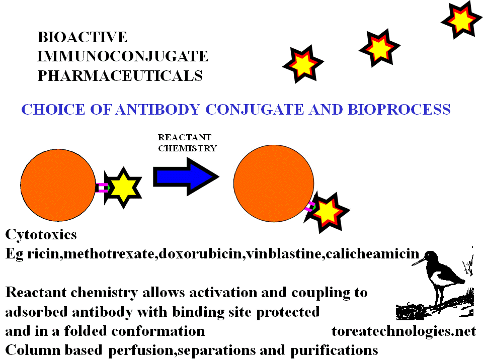 REACTANT CHEMISTRY APPLIED TO BOUND ANTIBODY-ANTIGEN COMPLEX IN A SOLID PHASE ALLOWS CHOICE OF CONJUGATE TO BE ATTACHED EITHER DIRECTLY OR INDIRECTLY VIA A LINKER. CONVENTIONAL ANTICANCER DRUGS SUCH AS DOXORUBICIN AND METHOTREXATE AVAILABLE IN A PHARMACEUTICAL QUALITY ASSURED FORMULATION SOURCE AND WITH A KNOWN PHARMACOLOGICAL PROFILE.  AGENTS ARE EXPECTED TO BENEFIT FROM BIOACTIVE CONJUGATION METHODOLOGY EG BR96 IMMU-11 AND MYLOTARG.