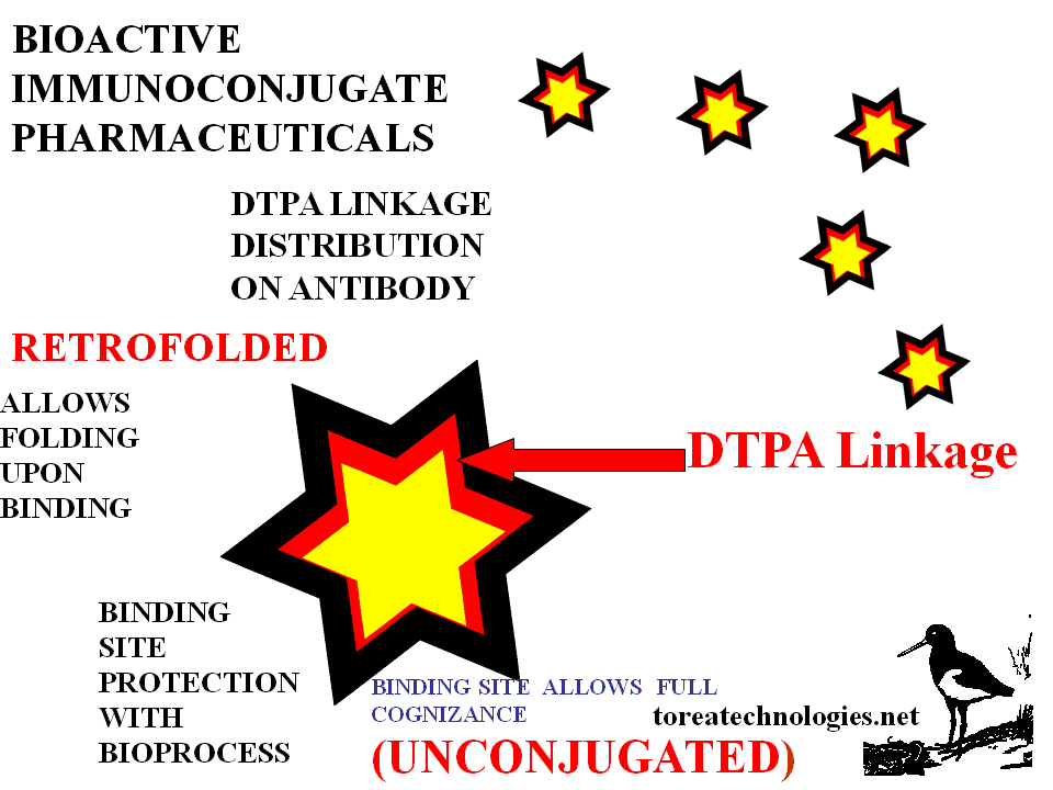 BIOACTIVE DTPA IMMUNOCONJUGATES SUITABLE FOR CHELATED LABELING WITH TECHNETIUM,YTTRIUM AND GADOLINIUM. LABELING ACHIEVES HIGH SPECIFIC MODIFICATION WHILST PRESERVING BINDING SITE RECOGNITION PROPERTIES AND FOLDING CAPABILITY.  A SCALABLE AUTOMATED PROCESS ENABLES INDUSTRIAL UPTAKE AND A NUMBER OF PIPELINES.THE ANHYDRIDE OF DIETHYLENETRIAMINE PENTA-ACETIC ACID IS REACTED WITH MAB BOUND TO IT'S BIORECOGNIZED EPITOPE. THIS PRESENTS A CHELATING MIETY TO INSTANTLY LABEL EASILY AND EFFICIENTLY IN A STERILE FORMULATED VIAL KIT.