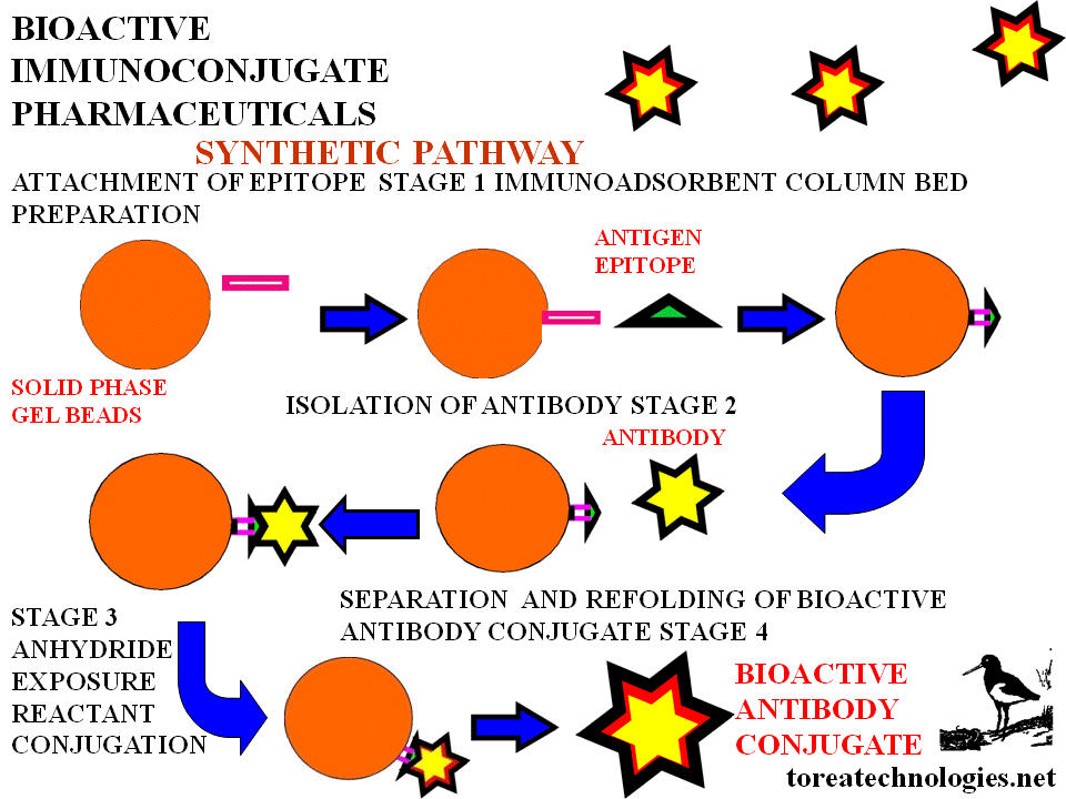 A SYNTHETIC PATHWAY OF REACTIONS AND AND SEPARATIONS FOR A BIOPROCESS IS EFFECTED IN A SOLID PHASE SYSTEM TO PRODUCE THE BIOACTIVE ANTIBODY PHARMACEUTICAL AND ABLE TO BE SCALED UP AND PRODUCED INDUSTRIALLY. COLUMN PERFUSION AND ANCILLARY AUDITABLE  PROCESS DATA CAN BE ARCHIVED. ACTIVATED BEADS AVAILABLE FROM BIOTECH SUPPLIERS AND SYSTEMS SUCH AS PHARMACIA BIOPILOT(GELIFESCIENCES.COM) ARE COMPUTER MANAGED AND WITH COMPATIBLE ANALYTICAL SUPPORT SYSTEMS.