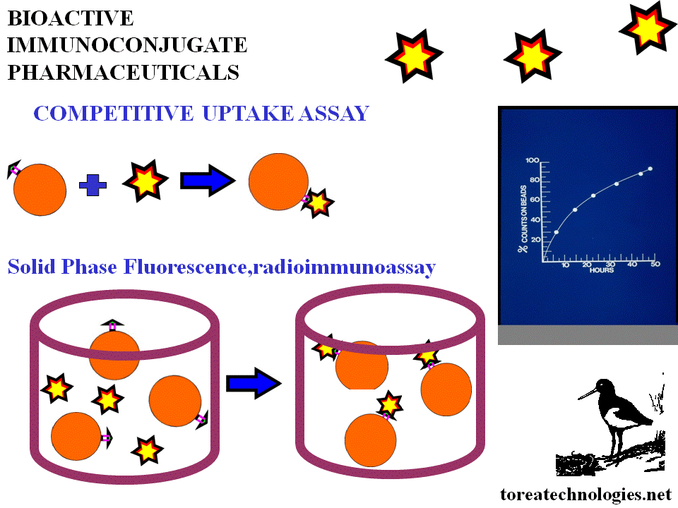 IMMUNOREACTIVITY ASSAY PROCEDURE FOR BIOACTIVE ANTIBODY.COMPETITIVE UPTAKE IN A SOLID PHASE DETECTION SYSTEM.  ANTIBODY FOLLOWS IN VIVO LOCALISATION PATTERN WITH 98 PERCENT IMMUNOREACTIVITY UPTAKE WITHIN 48HRS.