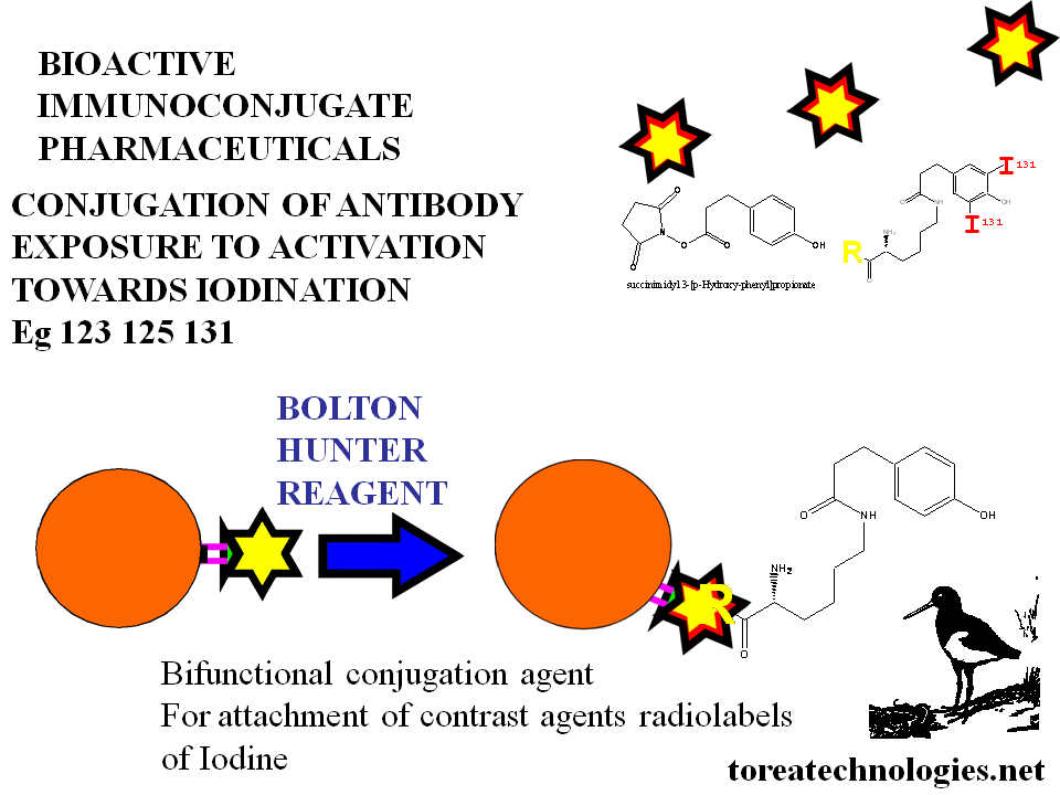 ISOTOPES OF IODINE ARE  AVAILABLE AND OF VALUE IN IMAGING I123 AND RADIOTHERAPY II31. APPLICATIONS FROM BIOACTIVE CONJUGATION ALLOWS HIGH SPECIFIC LABELING TO BE ACHIEVED MAINTAINING  BINDING SITE RECOGNITION, NATIVE FOLDING AND INCREASE IN EFFICACY.IODINE-131 BEXXAR TOSITUMOMAB IS AVAILABLE CLINICALLY AND IS EXPECTED TO BENEFIT FROM BIOACTIVE LABELING
